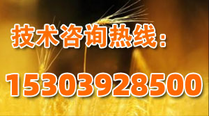 有機(jī)肥發(fā)酵技術(shù)咨詢電話