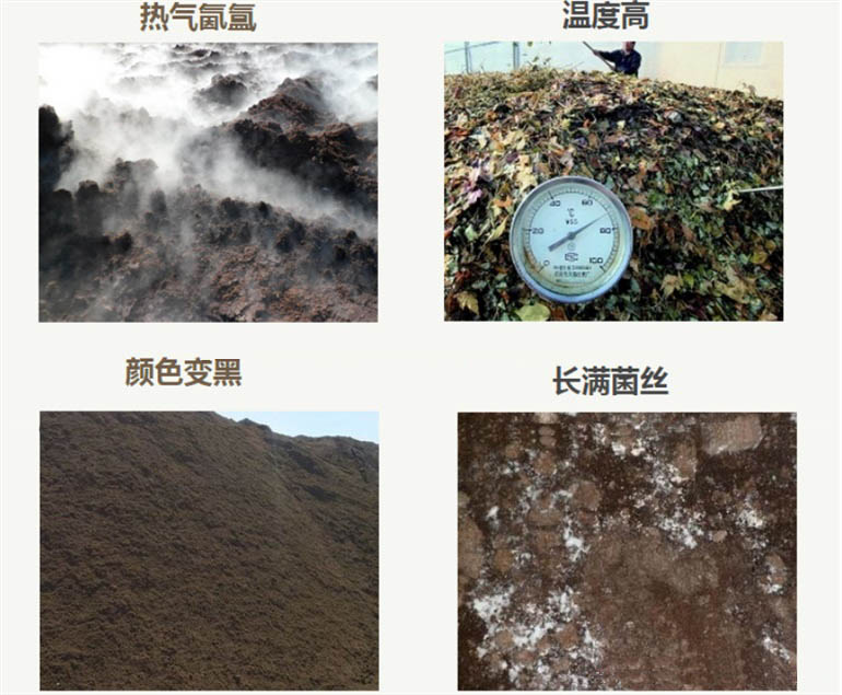 雞糞怎么發酵有什么用