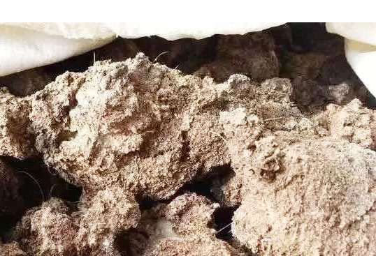 發酵處理后的豬糞有哪些用途？