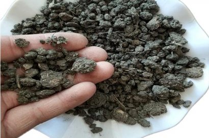 少量羊糞的發酵方法？