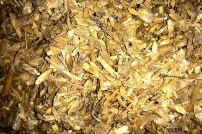 玉米秸稈微貯飼料怎么加工？