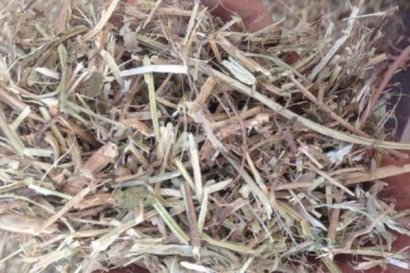 玉米秸稈草粉飼料怎么加工？