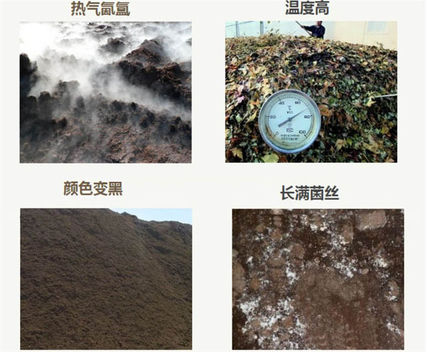 有機(jī)肥堆肥發(fā)酵需要多少天，要經(jīng)歷幾個(gè)階段？
